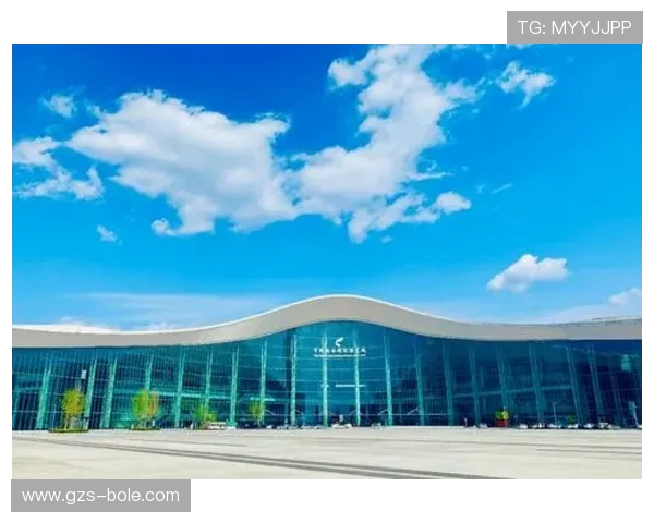 成都蓉城崛起助力西部发展新篇章推动城市经济文化创新融合进程