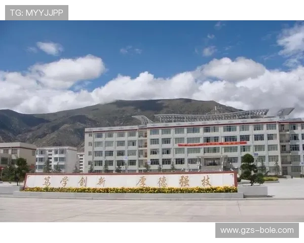 台球技巧与策略全面解析提升你的水平，成为高手的必备指南