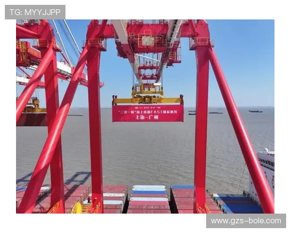 上海海港发展新机遇：打造全球物流枢纽推动经济高质量增长