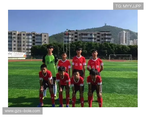 南京排球队心理素质排名第十揭示团队潜力与挑战