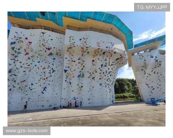 广州攀岩队的防守策略与技术解析深度探讨攀岩运动的魅力与挑战