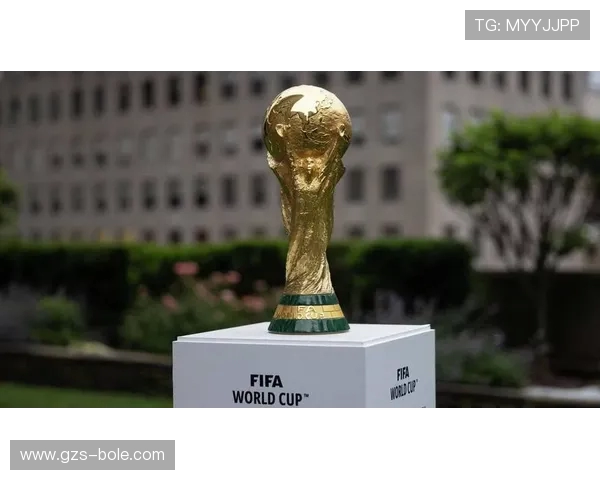 世界杯：全球瞩目的足球盛宴，历史与荣耀的交织与挑战