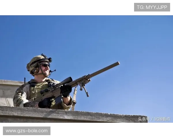 以Ruler射手为核心探索其在战场中的战略价值与独特作用